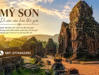 private car from hoi an to my son